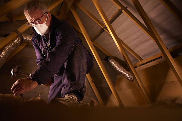 Types of Insulation We Offer in Stuart, IA